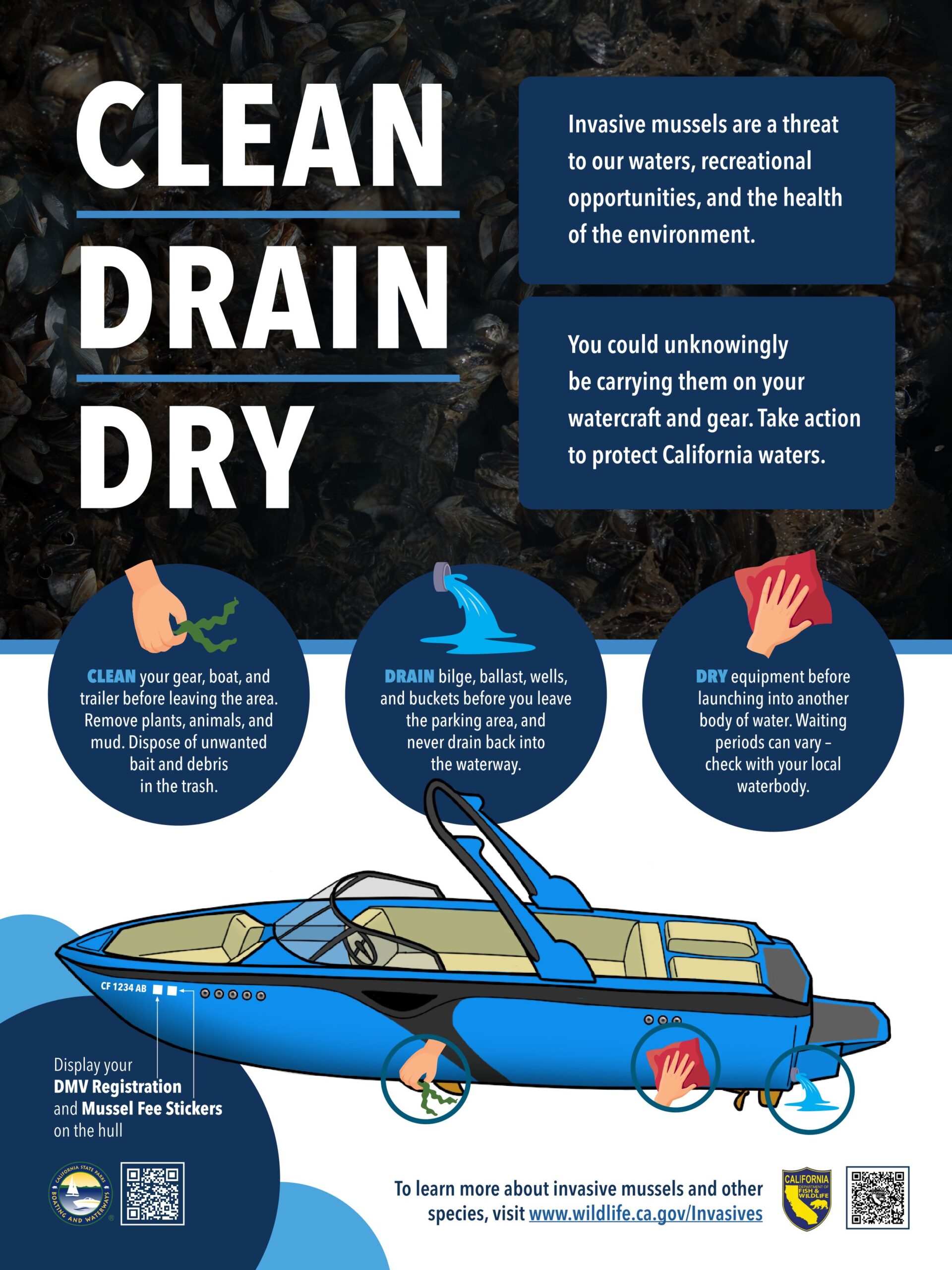 Invasive Mussels_Clean-Drain-Dry Poster Image